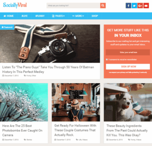 MyThemeShop Review: Is It Good and Worth Your Money? 5 MyThemeShop Review