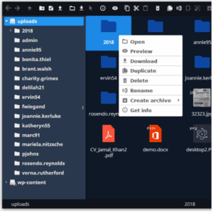 file-upload-wordpress file-upload-wordpress