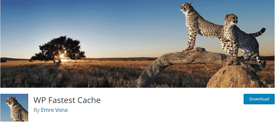 wp-fastest-cache