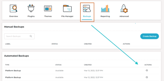 Rocket.net Hosting Review - Why It's Your Best Bet? 3 rocket.net-backups