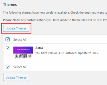 Wordpress theme update
