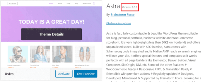 view wordpress theme version