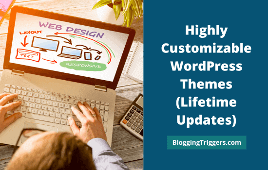Highly Customizable WordPress Themes