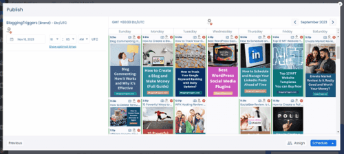 10 Best Pinterest Scheduler Apps to Plan and Automate Your Pins 4 Vista Social schedule