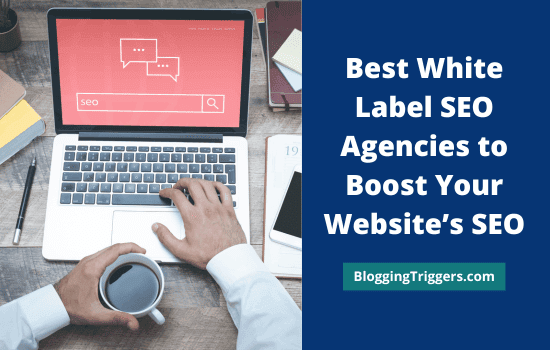 Best White Label SEO Agencies