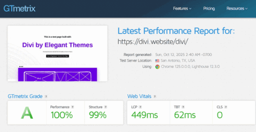 Divi theme performance