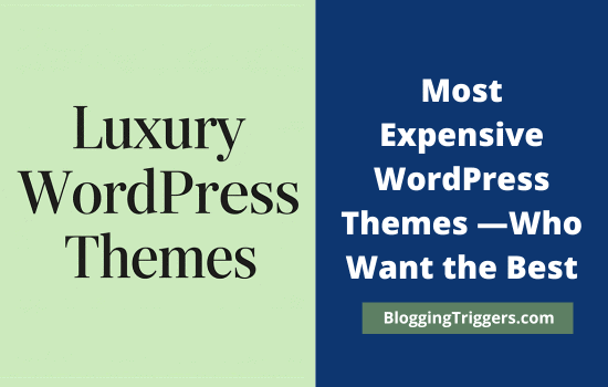 Most Expensive WordPress Themes