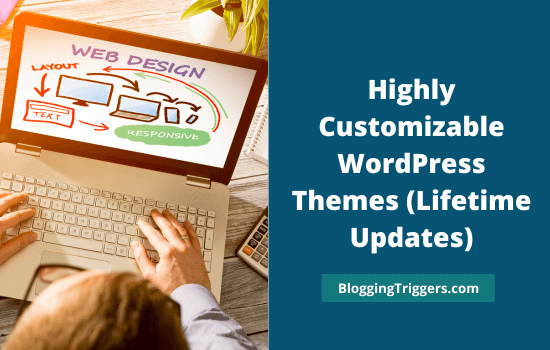 Highly Customizable WordPress Themes