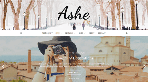 ashe free wordpress blog theme