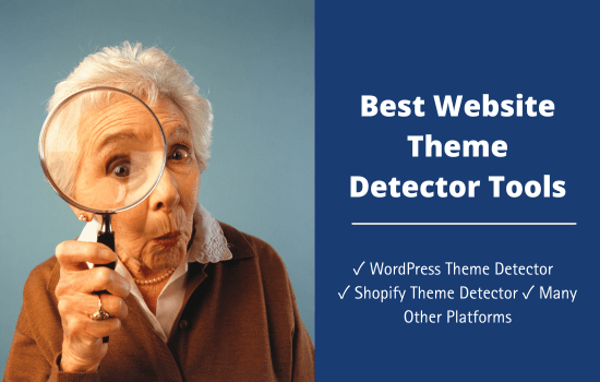 Best Website Theme Detector Tools To Detect Themes on Any Site